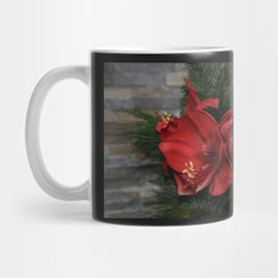 Knight's Star - Hippeastrum Mug